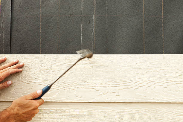 Best Fascia and Soffit Installation  in Pierce City, MO